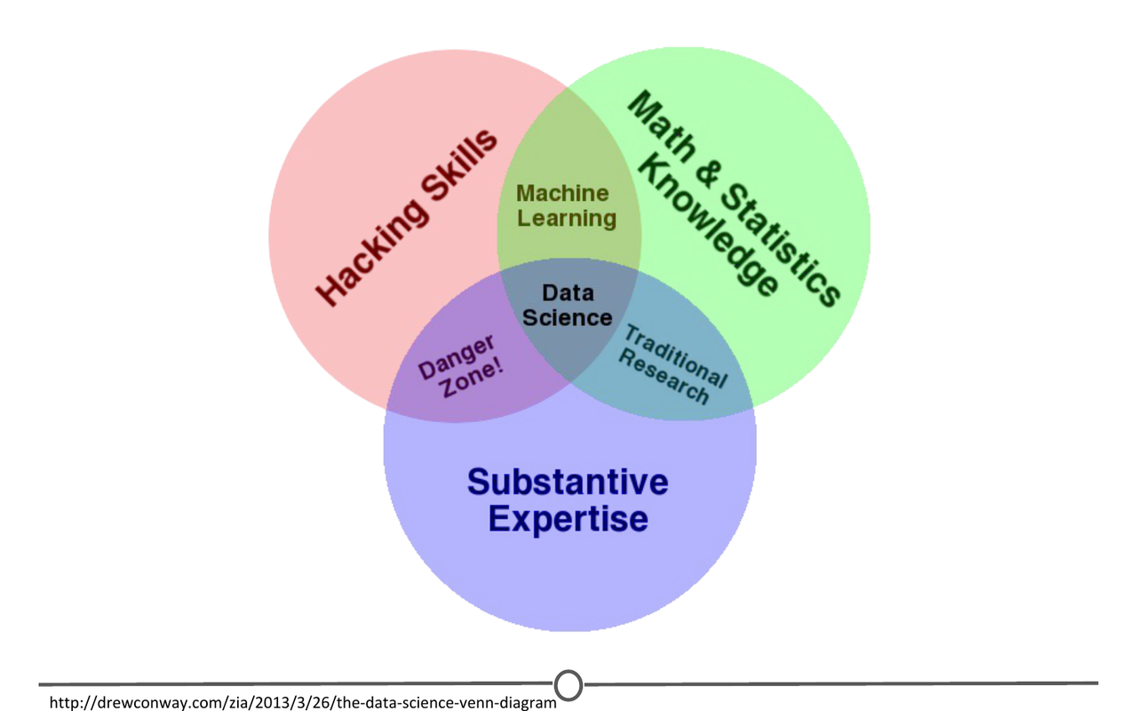 Data scientist's skills
